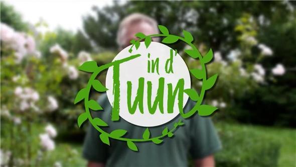 Das ist im Juli im Garten zu tun