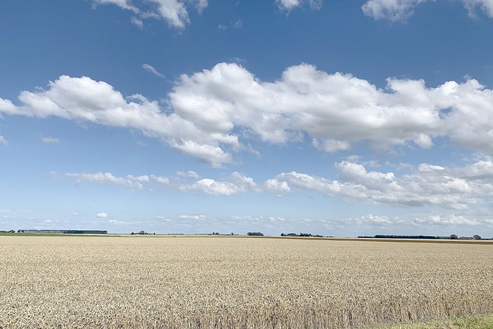Im Rheiderland können Radfahrer die weite Sicht genießen. Foto: Ostfriesland Tourismus GmbH/ostfriesland.travel