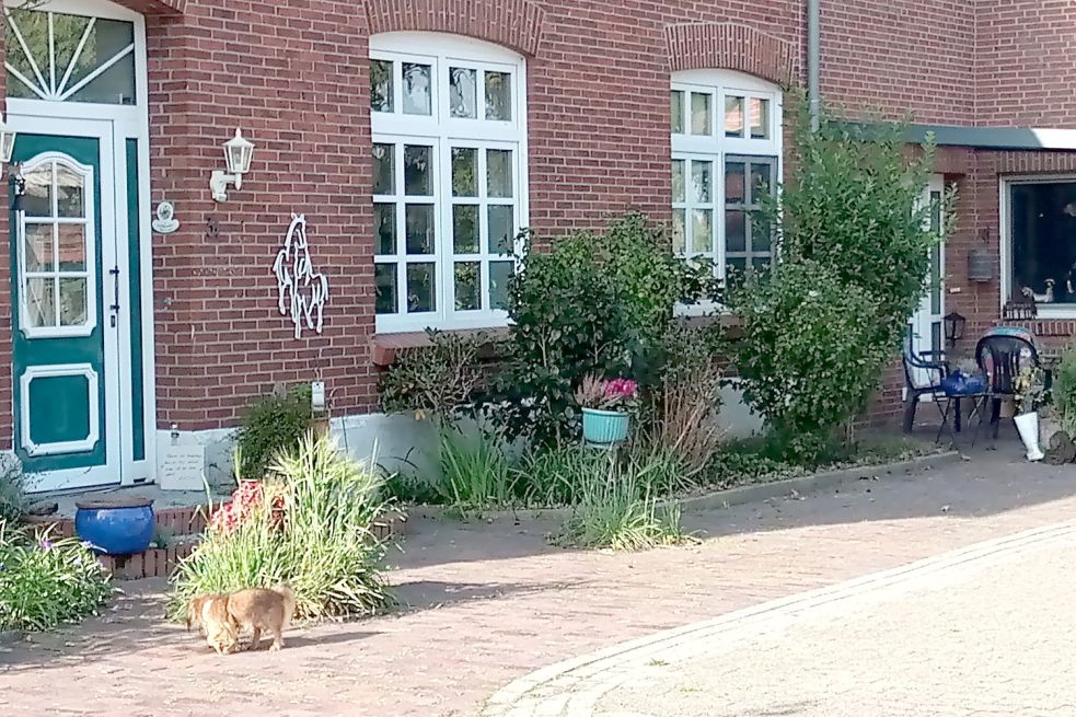 Von solchen Ferienwohnungen wie diesem Hof im Barßeler Ortsteil Roggenberg sucht Jens Lindstädt, Geschäftsführer des Touristikvereins Erholungsgebiet Barßel & Saterland, dringend mehr. Foto: privat