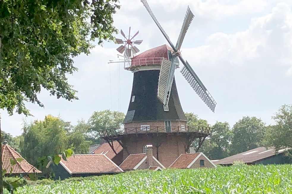 Die historische Rhauder Mühle ist auch aus der Ferne ein Blickfang. Seit Pandemiebeginn ist das Ensemble aus Mühle, Backhaus und Remise verwaist. Foto: Radtke