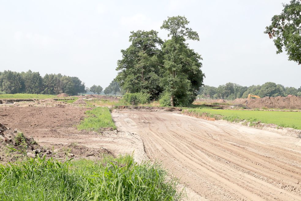 Hier an der Westmarkstraße soll der neue Kindergarten entstehen. Foto: Passmann