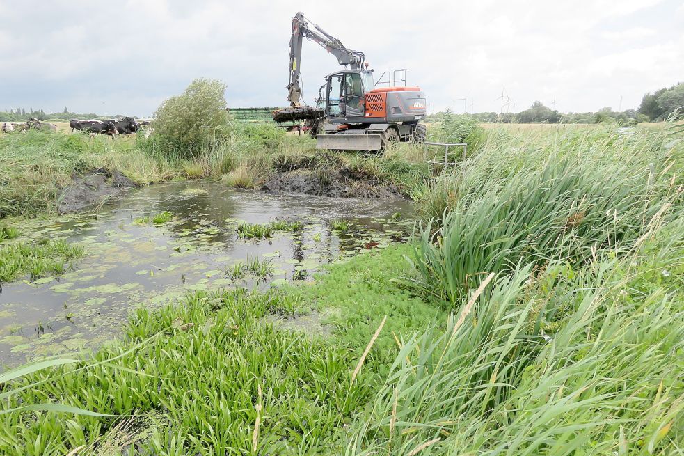 Mit einem Bagger wurde die sogenannte Papageienfeder aus dem Weeneraner Dwarstiefs geholt. Foto: Landkreis Leer