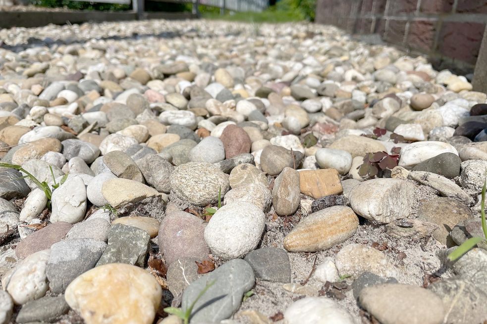 Kiesel, Schotter und kein Ende: Laut Niedersächsischer Bauordnung ist es verboten, seinen Vorgarten so zu gestalten. Foto: Janßen