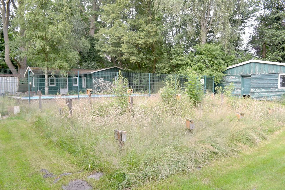 An dieser Stelle in Potshausen soll die neue Kindertagesstätte entstehen. Foto: Zein