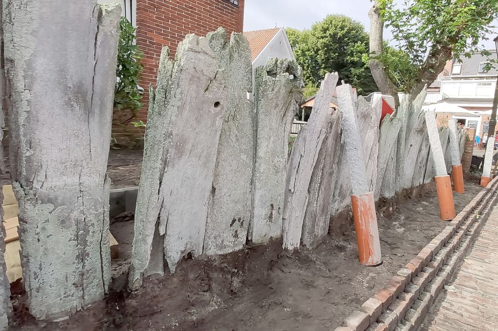 Vor dem Zaun wird unter anderem ein Muschelbeet angelegt. Außerdem sollen Abdeckplatten den Zaun schützen.