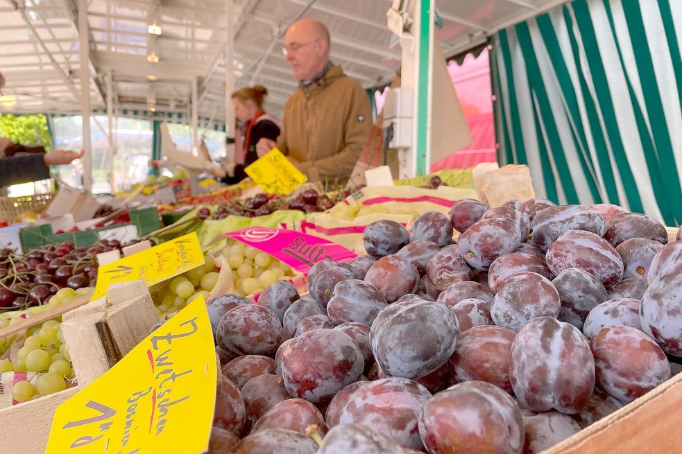 Auf dem Rhauderfehner Wochenmarkt gibt es am Stand von Jürgen Plogsties im Spätsommer Zwetschgen. Die besten, sagt der Händler, sind die Altländer. Die kommen später im September. Foto: Janßen