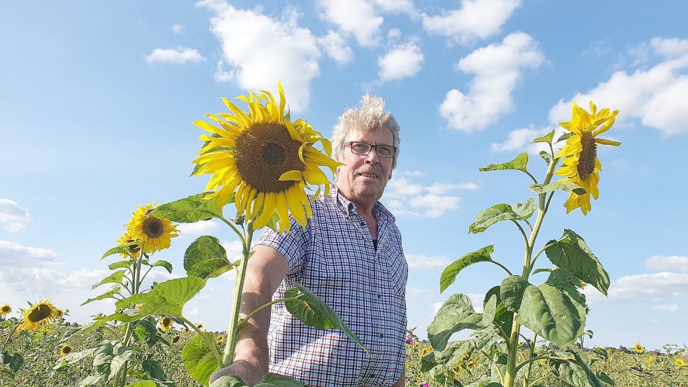 Ento Wübbena zeigt ein paar der Sonnenblumen, die auf der riesigen Fläche mitten im Landschaftsschutzgebiet in Hatzum stehen. Foto: Gettkowski