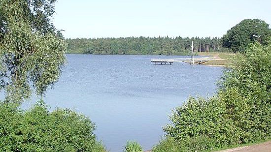 Weil sich in der Thülsfelder Talsperre die Blaualgen wieder vermehrt haben, hat der Landkreis für das Gewässer erneut ein Badeverbot ausgesprochen. Foto: Erholungsgebiet Thülsfelder Talsperre
