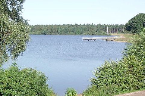 Der Landkreis Cloppenburg hat an der Thülsfelder Talsperre kurzfristig ein Badeverbot erlassen. Grund sind Blaualgen. Die sind für Menschen giftig. Foto: Erholungsgebiet Thülsfelder Talsperre