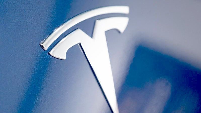 Tesla könnte aus einem Europäischen Batteriezellenprogramm eine satte Förderung erhalten. Foto: Christophe Gateau/dpa