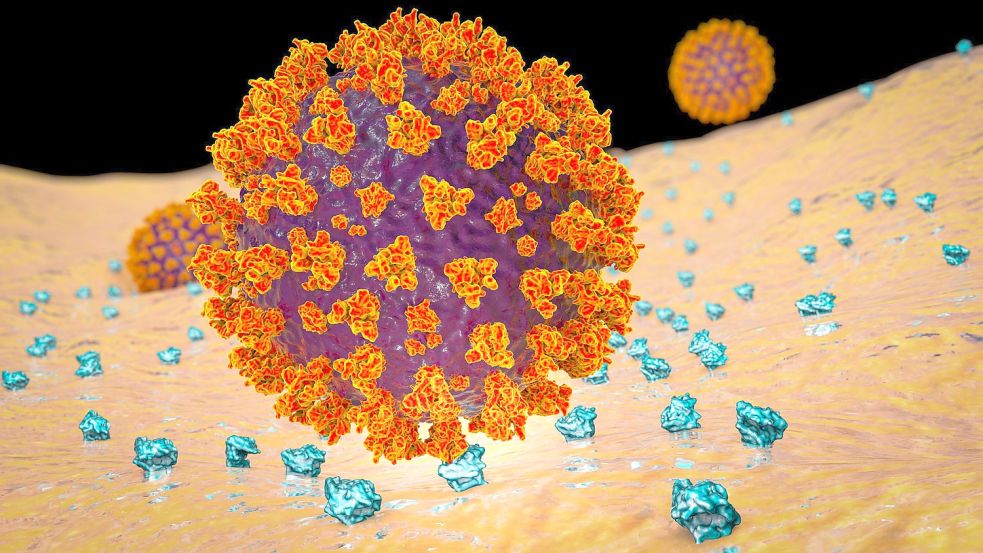 Das Coronavirus verbindet sich durch das Spike-Protein mit menschlichen Zellen: Diese Eigenschaft machen sich Forscher auch beim DNA-basierten Impfstoff zunutze. Foto: imago-images/Science Photo Library