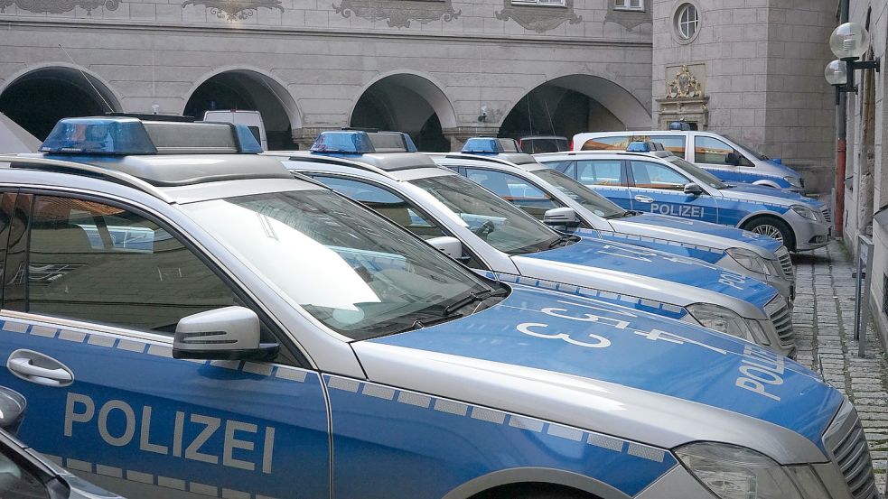 Bei einer Kontrolle konnte die Leeraner Polizei einen Dieb stellen. Foto: Pixabay