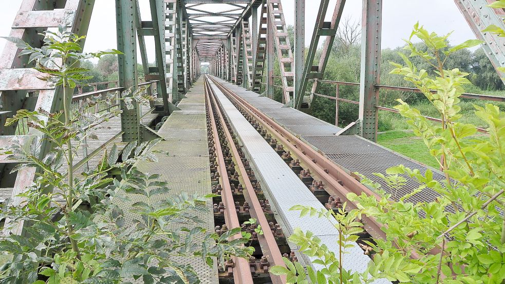 Zugewachsen ist die Friesenbrücke. Bald wird sie abgerissen. Foto: Wolters