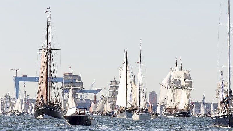 Traditionssegler liegen während der Windjammerparade 2019 in der Kieler Förde auf Kurs. Foto: Frank Molter/dpa/Archivbild