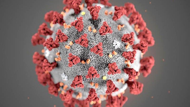 Je „schöner“ eine bildliche Darstellung des Coronavirus ausfällt, als desto weniger ansteckend wird das Virus empfunden. Foto: Uncredited/Centers for Disease Control and Prevention/AP/dpa