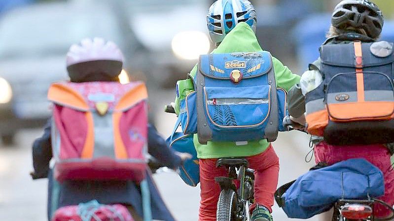 Kinder sind auf einer Straße mit dem Fahrrad unterwegs zur Schule. Symbolbild. Foto: Ralf Hirschberger/dpa-Zentralbild/dpa