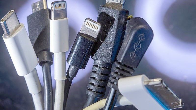 Die EU-Kommission will am Donnerstag einen Gesetzesvorschlag für einheitliche Ladebuchsen an Handys, Tablets und anderen Elektrogeräten machen. Foto: Jens Büttner/dpa-Zentralbild/dpa