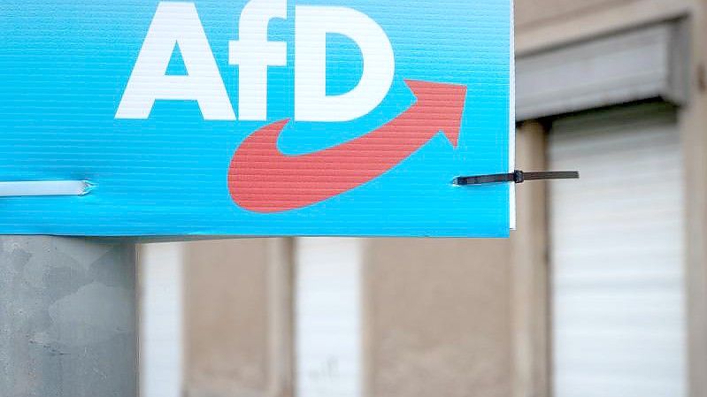 Umfragen zufolge könnte die AfD bei der Bundestagswahl in Sachsen, Thüringen und Sachsen-Anhalt stärkste Partei werden. Foto: Hendrik Schmidt/dpa-Zentralbild/dpa
