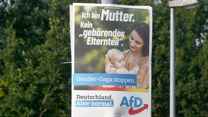 Die AfD hat unter anderem mit Plakaten für sich geworben - wie auf diesem Foto aus Ostrhauderfehn. Foto: Hellmers