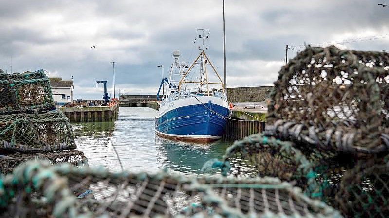 Der EU-Austritt kostet britische Fischer einer Studie zufolge 300 Millionen Pfund. Foto: David Keyton/AP/dpa