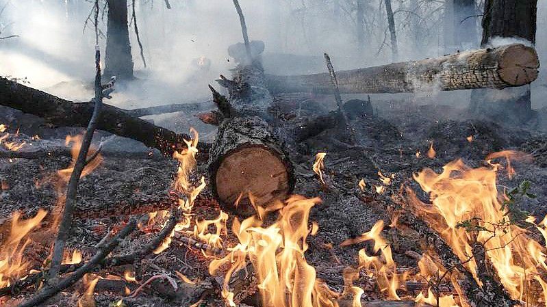 Waldbrand im August im Gebiet Gorny Ulus (Jakutien). Foto: Valeriy Melnikov/Sputnik/dpa
