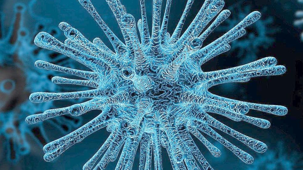 Die Corona-Infektionslage in Ostfriesland bleibt stabil. Bild: Pixabay