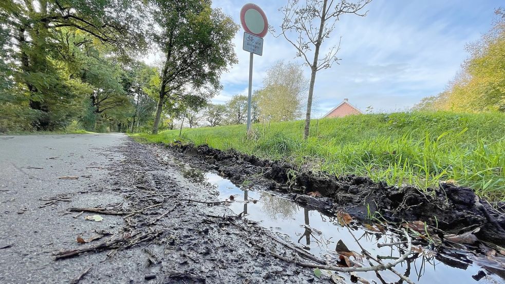 Ausweichspuren am Straßenrand: Der Hohe Weg – hier am Ende der Straße in Rhaude – ist eine schmale Anliegerstraße, die nicht auf viel Begegnungsverkehr ausgelegt ist.