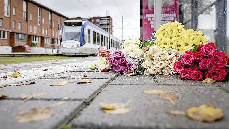 Blumen liegen an der Straßenbahnhaltestelle in Den Haag, wo Jugendliche einen Obdachlosen vor eine Straßenbahn gestoßen und so seinen Tod verschuldet haben. Foto: Robin Van Lonkhuijsen/ANP/dpa