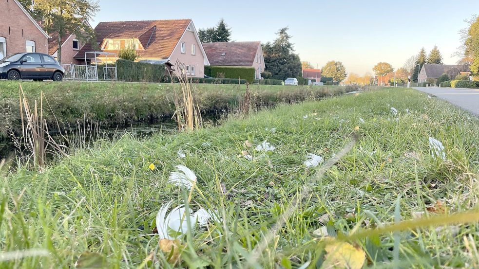 Am Sonntag, dem Tag nach dem Unfall, lagen noch einige Federn an der 1. Südwieke in Westrhauderfehn. Foto: Hellmers