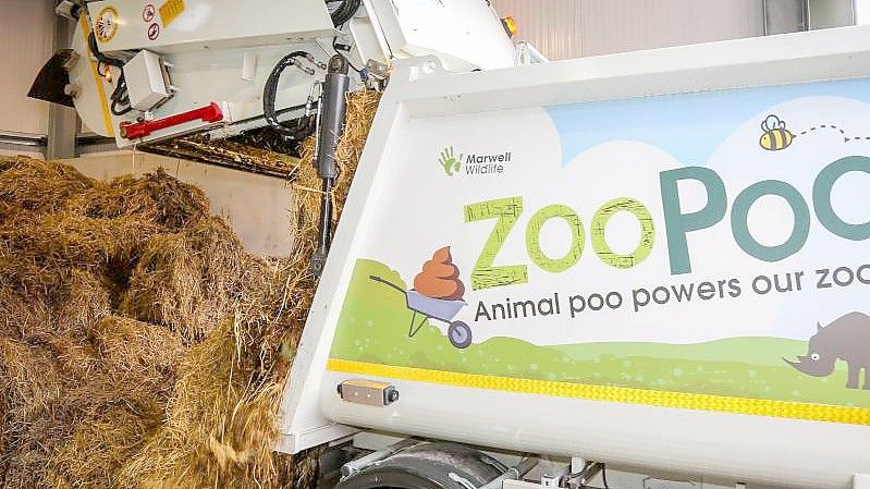 Dung wird entladen: Aus Kot gewinnt ein britischer Zoo künftig zwar kein Gold, aber dafür Energie. Foto: Paul Collins/Marwell Wildlife/PA Media/dpa