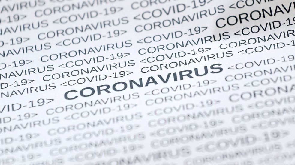 100 Menschen sind im Landkreis Aurich derzeit mit dem Coronavirus infiziert. Symbolfoto: Pixabay