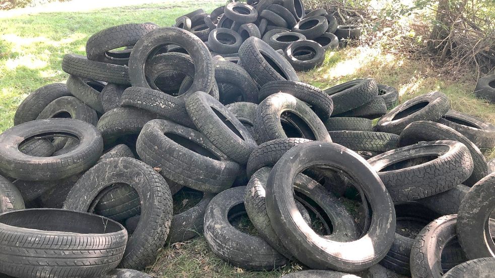 Diese Reifen wurden zwischen Donnerstag und Freitag vergangener Woche in Burlage illegal entsorgt. Foto: Ammermann