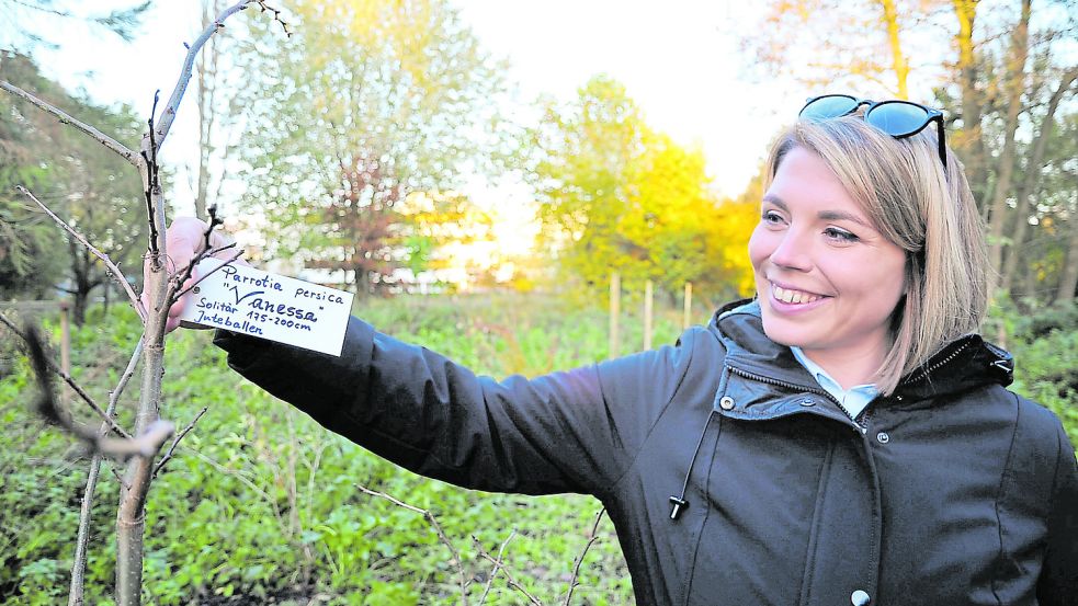„Parrotia persica Vanessa“ lautet der botanische Name des ersten Baumes, den Papenburgs neue Bürgermeisterin Vanessa Gattung pflanzte. Foto: Schade