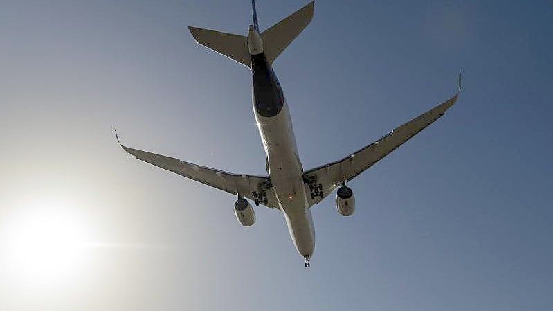 Ein Flugzeug landet auf dem Flughafen Frankfurt. (Archivbild). Foto: Boris Roessler/dpa