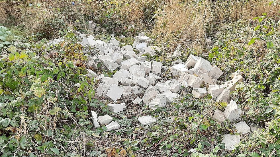 Unbekannte haben einen Schutthaufen in Klostermoor in die Landschaft gekippt. Christoph Harms hat ihn bei einem seiner Spaziergänge fotografiert. Foto: privat