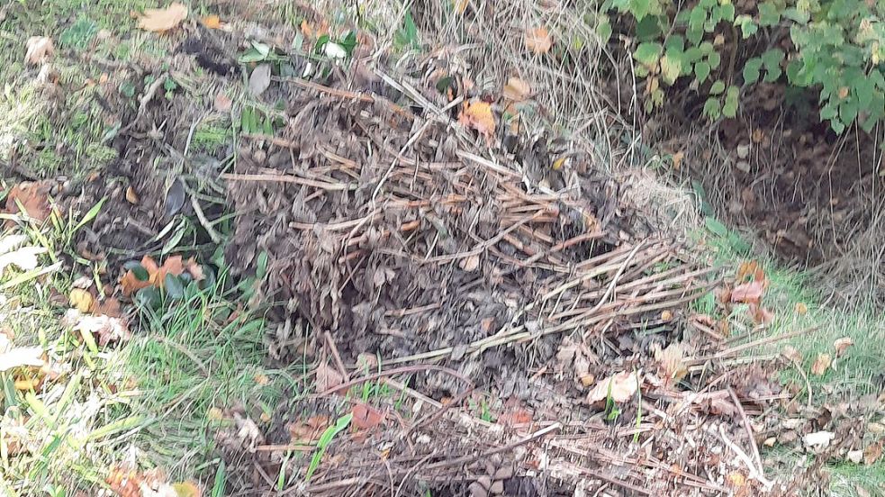 Haufen von Gartenabfällen hat Christoph Harms entdeckt. Foto: Privat