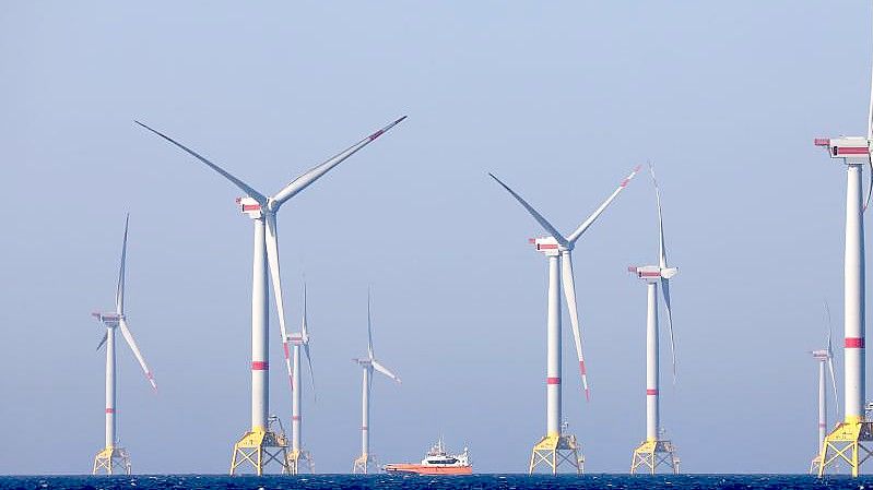 Windräder des Windparks „Wikinger“ in der Ostsee vor Rügen. Foto: Bernd Wüstneck/ZB/dpa