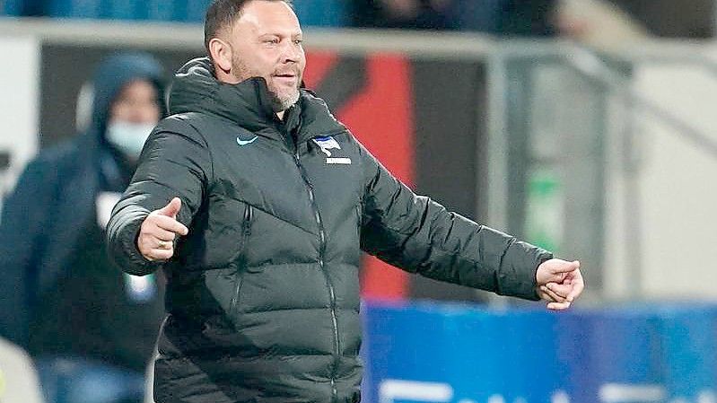 Will nach dem Unentschieden nach vorne schauen: Herthas Trainer Pal Dardai. Foto: Uwe Anspach/dpa/Archivbild