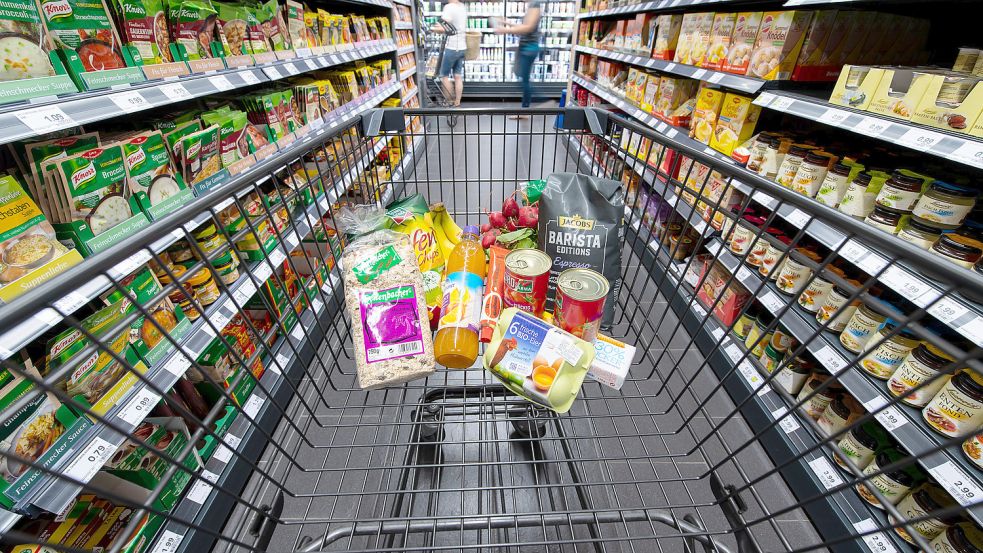 Der Einkaufswagen gehört zwangsläufig zum Einkauf dazu. Foto: DPA