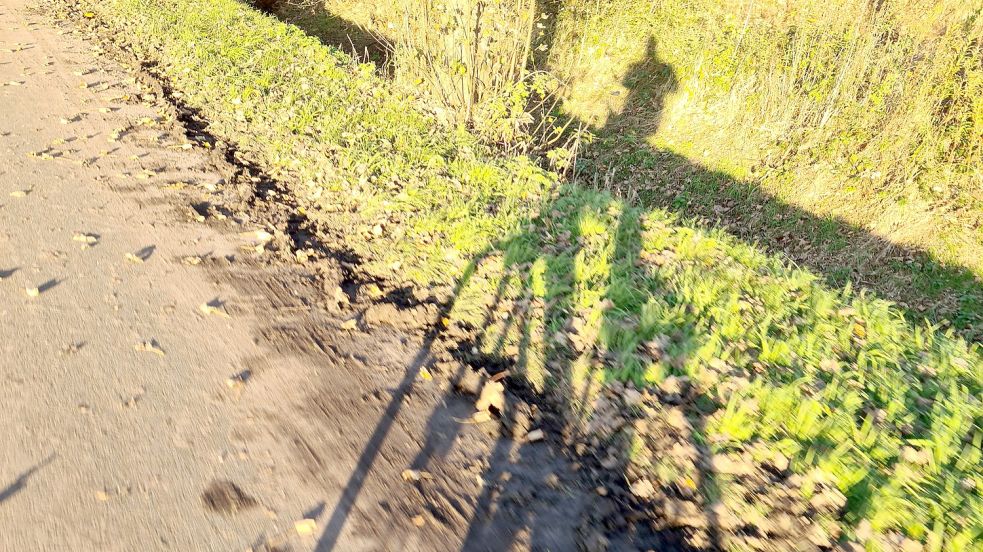 Schattenspiel auf dem Radfahrweg zwischen Ihrhove und Esklum: Dieser rund vier Kilometer lange Abschnitt direkt entlang der Bahnlinie soll grundlegend saniert und verbreitert werden. Fotos: Ammermann