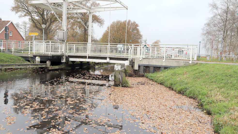 Im Herbst fallen viele Blätter von den Bäumen beidseitig des Elisabethfehnkanals in das Gewässer. Dass einige Anlieger zusätzlich Laub in den Kanal fegen oder pusten, stellt allerdings als Umweltverschmutzung eine Ordnungswidrigkeit dar, die vom Landkreis geahndet wird. Foto: Passmann