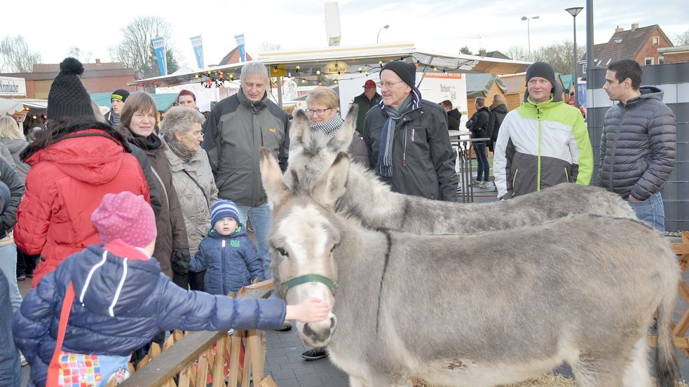 Der Weihnachtsmarkt in Flachsmeer mit Esel-umstandener Krippe und vielen Buden war in vergangenen Jahren immer gut besucht. Jetzt fällt er zum zweiten Mal aus. Foto: Archiv