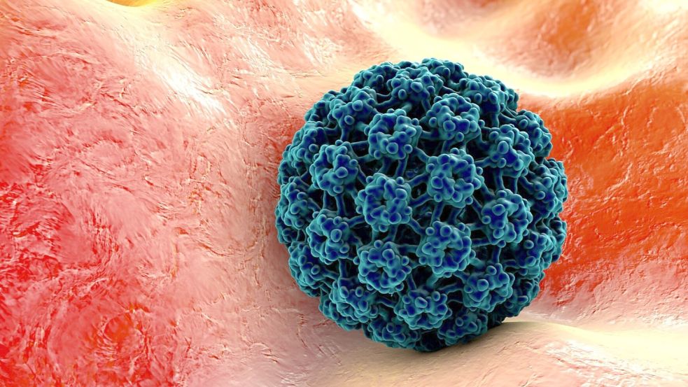 Zwei Typen des HP-Virus können unangenehme Geschlechtskrankheiten auslösen. Foto: imago images/Kateryna Kon
