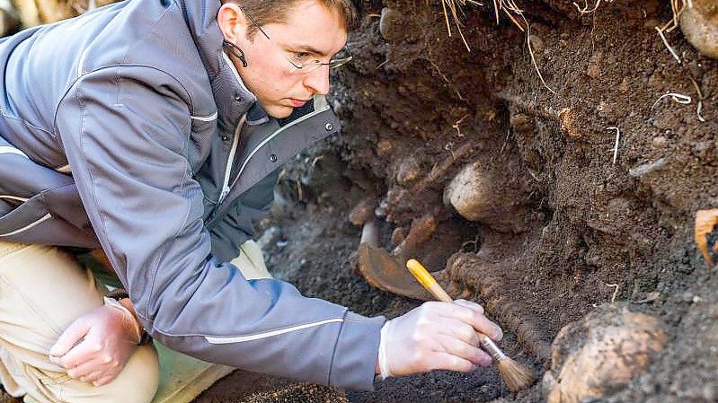 Der Fund von rund 400 Skeletten auf einem früheren Leprafriedhof ist für die Wissenschaft von großer Bedeutung. Foto: Philipp von Ditfurth/dpa