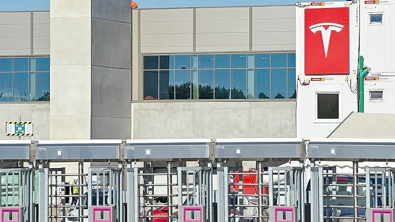 Ein großes Logo der Marke Tesla ist an einem Baucontainer vor der Tesla Gigafactory östlich von Berlin. Foto: Patrick Pleul/dpa