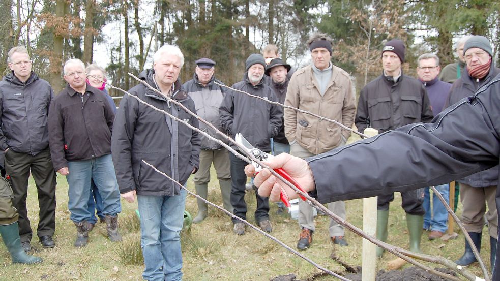 Im Evangelischen Bildungszentrum Ostfriesland-Potshausen (EBZ) wird beispielsweise wissenswertes über den Baumschnitt vermittelt. Foto: Janßen/Archiv