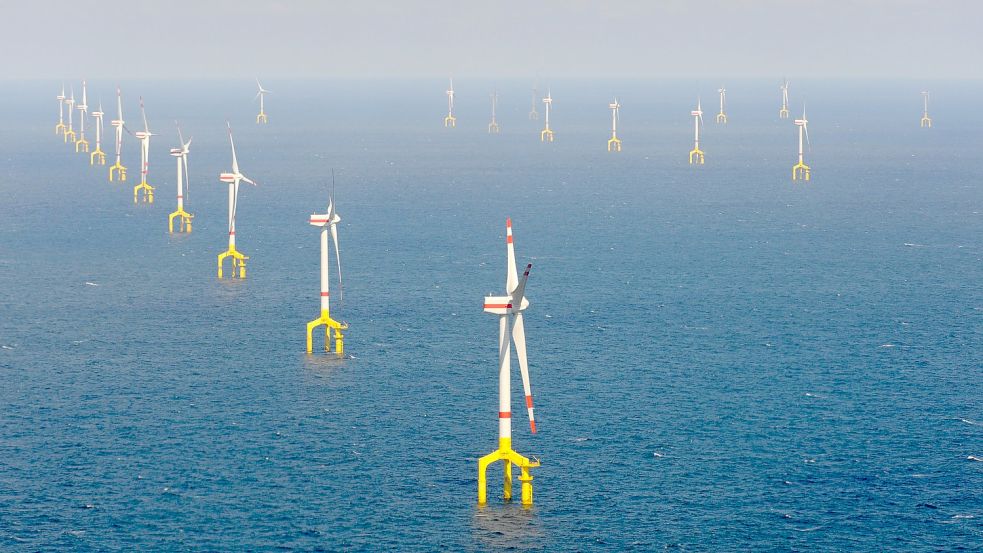 Windräder drehen sich im Hochseewindpark Bard Offshore 1, rund 90 Kilometer nordwestlich von Borkum. Von hier transportiert ein von Tennet betriebenes Leitungssystem den Strom zur Konverterstation nach Diele im Rheiderland. Foto: Jaspersen/dpa