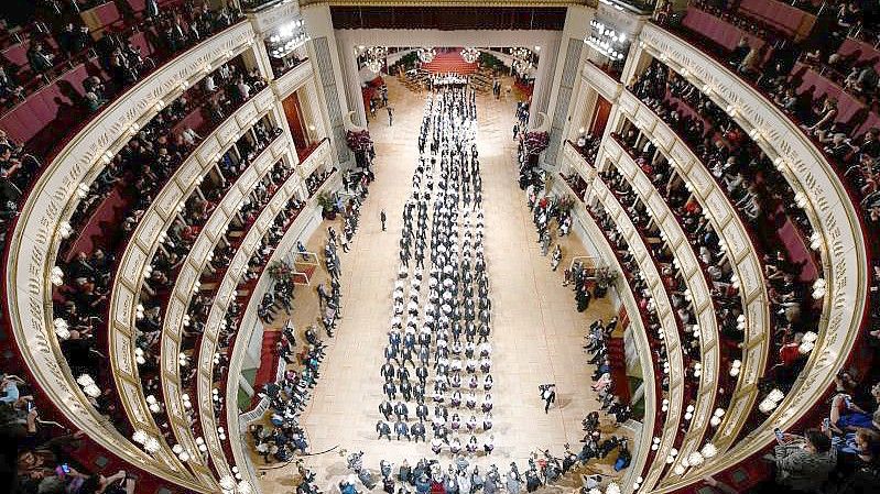 Debütantenpaare während der Generalprobe für den Opernball 2020 in der Wiener Staatsoper. Foto: Herbert Neubauer/APA/dpa