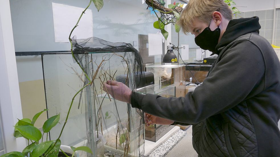 In den Aquarien und Terrarien leben zwölf unterschiedliche Tierarten. Foto: Stix