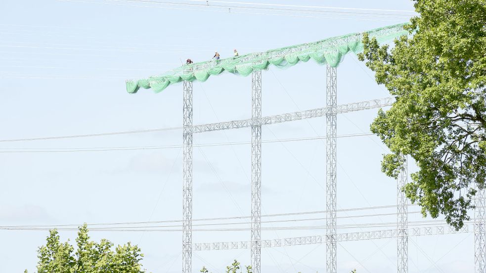 Solche Schutzgerüste werden aufgebaut, um Kabel über die Autobahn zu spannen oder um sie zu entfernen. Foto: Tennet